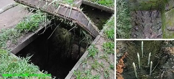 تاکتیک‌های مرگبار ویتنامی‌ها که آمریکا را وادار به عقب‌نشینی کرد