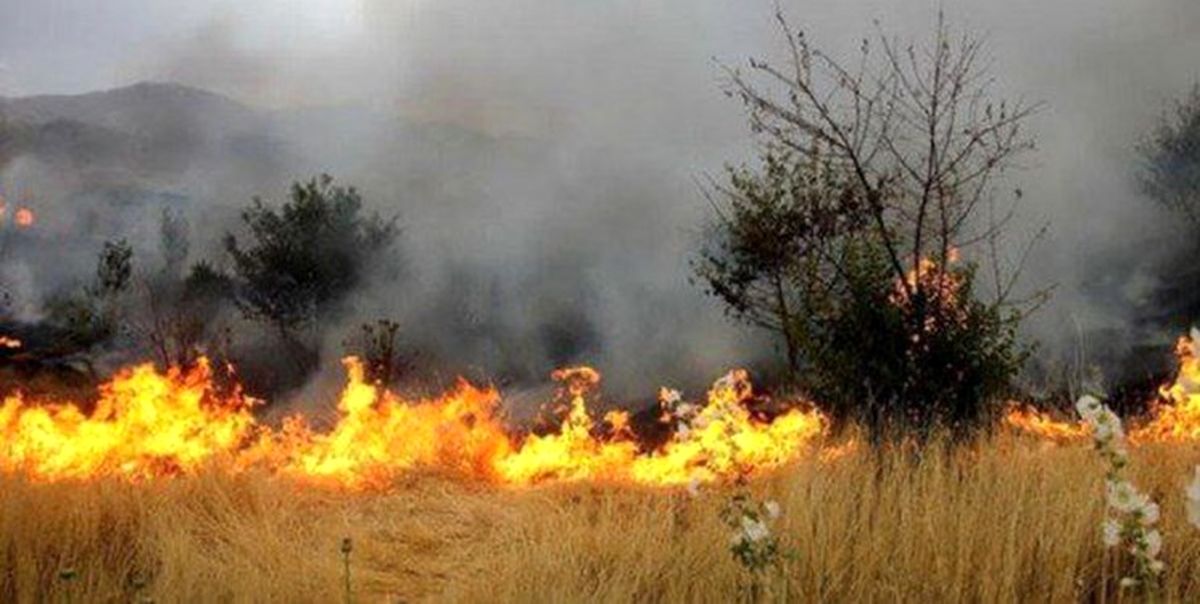شناسایی عوامل آتش‌سوزی گسترده در منابع ملی چگنی و ازنا
