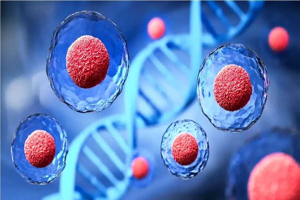 کشف یک ژن غیر کُد کننده که رشد سلول‌های بزرگ را کنترل می‌کند

