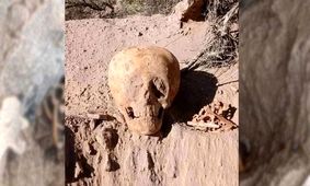 کارگران ساختمانی به طور تصادفی جمجمۀ «مرد مورچه‌ای» را کشف کردند