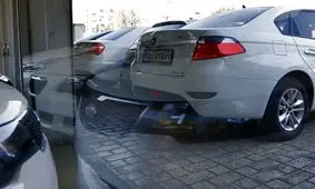 قیمت شاهین دست دوم سقوط کرد