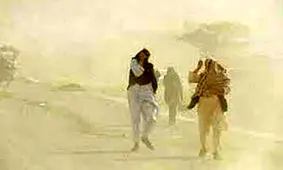 توفان شن در محور زاهدان به زابل/ ویدئو
