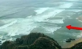 قاتل بی‌رحم دریای خزر را می شناسید؟ /ویدئو