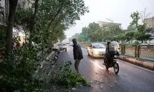 هشدار نسبت به وزش تندباد در تهران