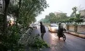 هشدار نسبت به وزش تندباد در تهران