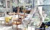کافه نشینی زیر فشار گرانی؛ افزایش قیمت قهوه و کاهش مشتریان