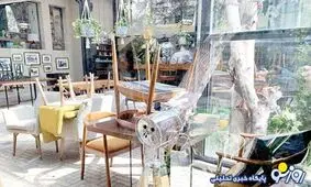 کافه نشینی زیر فشار گرانی؛ افزایش قیمت قهوه و کاهش مشتریان
