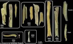 ثابت شد؛ انسان‌ها، آدم‌خوار بوده‌اند!