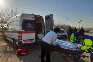 انحراف اتوبوس مسافربری در محور مرودشت-شیراز با هشت مصدوم