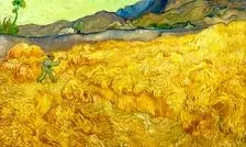 جادوی «زرد»!
