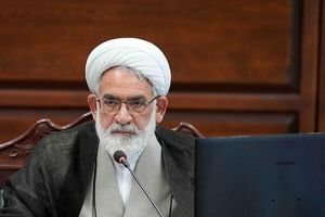 واکنش رئیس دیوان عالی کشور به سرنوشت مقصران انفجار شهید رجایی