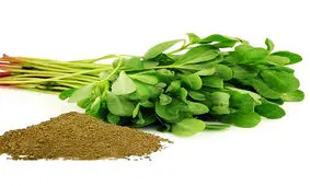 خواص ۱۱۰ سبزی در این گیاه جمع شده است