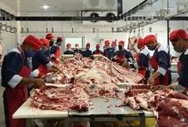 بازگشت گوشت تنظیم بازار گوسفندی و گوساله