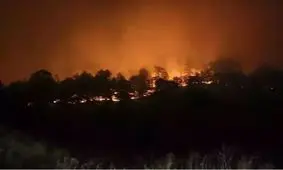 آتش‌سوزی در ویلای خواننده سرشناس ترک در آنتالیا