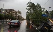 هواشناسی: توده‌های تندری در راه تهران؛ احتمال باران و وزش باد شدید