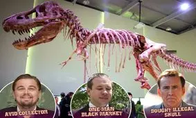 نگاهی به دنیای سیاه قاچاق فسیل دایناسور توسط سلبریتی ها