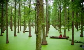 عکس های دیدنی وجالب روز