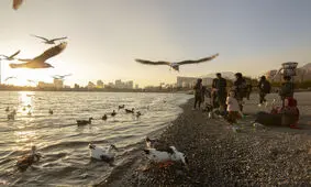انتقال آب‌ هایی که حیات خلیج فارس را به خطر انداخته است