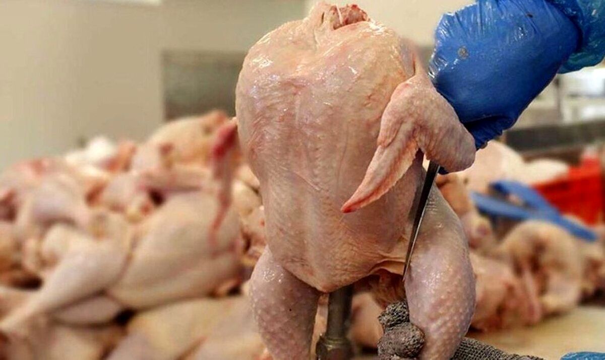 یک فروشنده: مرغ عمده‌ای را کیلویی ۷۵ هزار تومان می‌خریم، چطور آن را ۶۳ هزار تومان بفروشیم؟