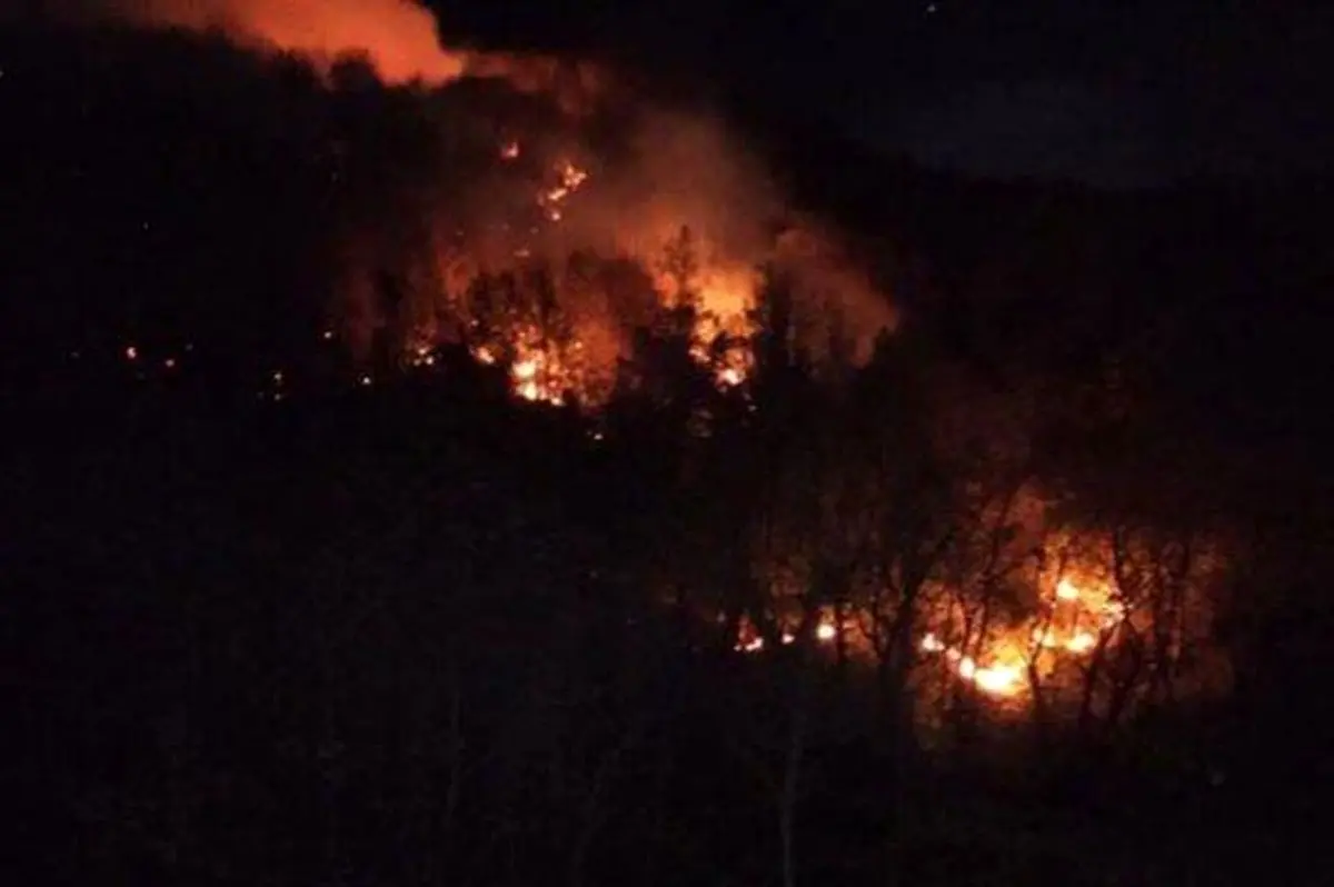 مهار آتش سوزی در ارتفاعات لوندویل آستارا/ ویدئو