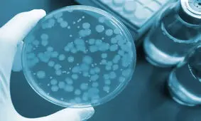 هیچ منبع رسمی و علمی درباره شیوع طاعون در روسیه اظهار نظر نکرده