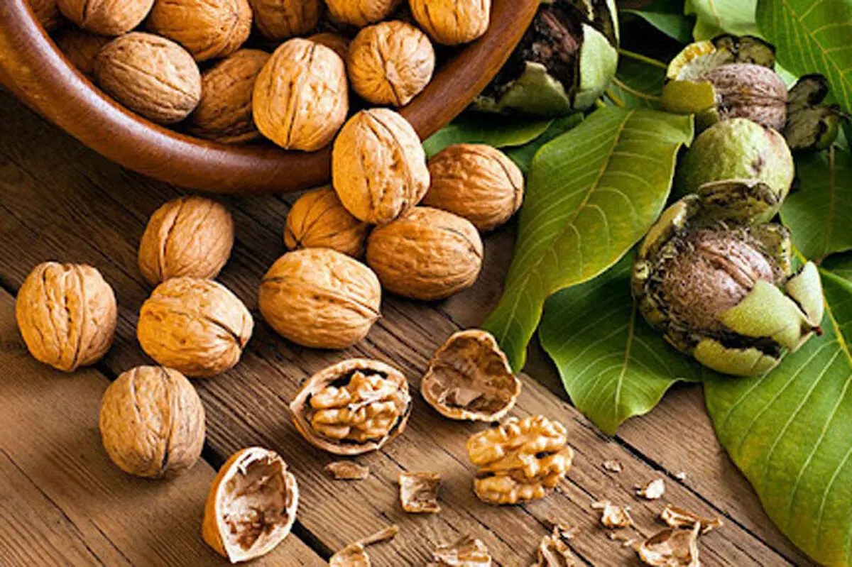 آیا خوردن گردوهای سیاه خطرناک است؟