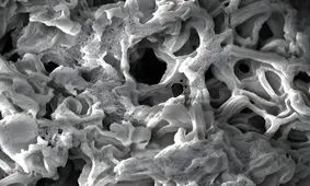 جا دادن یک زمین فوتبال روی یک قاشق چای‌خوری!

