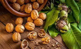 مغزی که قند خون و کلسترول را کنترل می‌کند