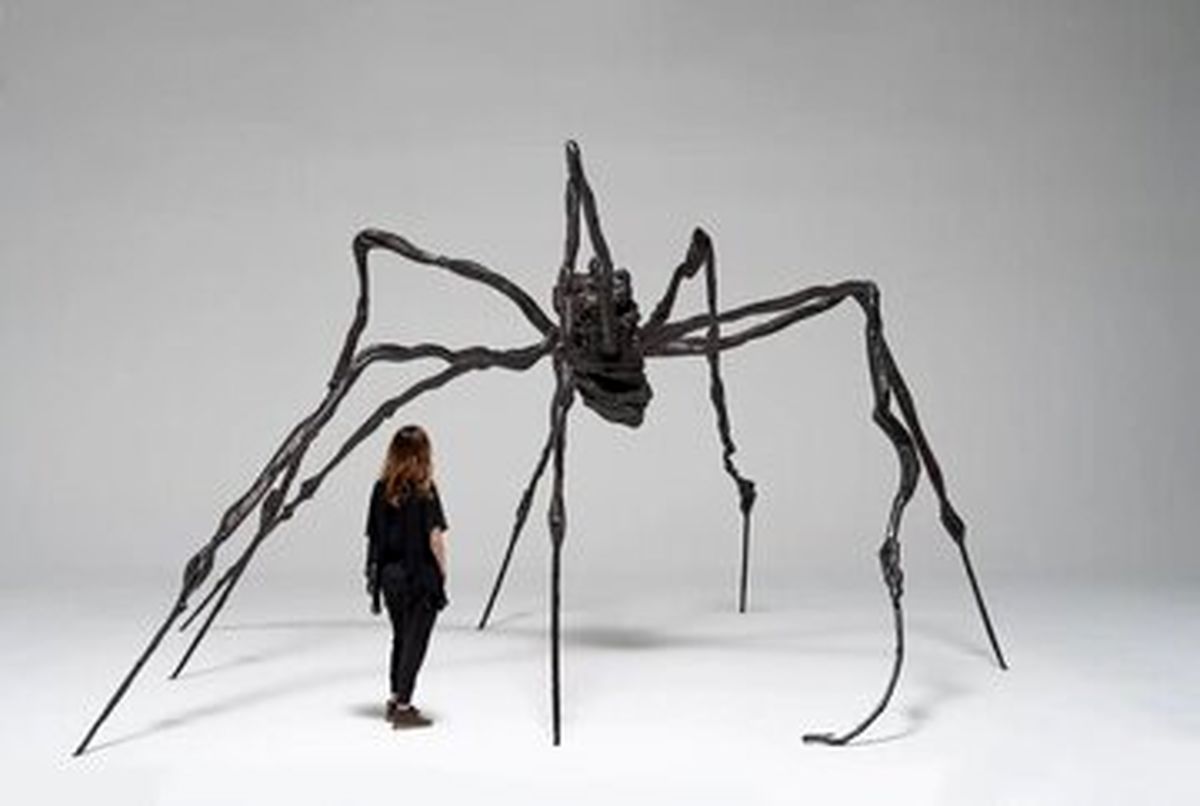 عنکبوت غول‌پیکر که رکورد جهانی را شکست