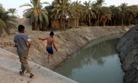 آب به نخلستان های شادگان رسید/ تصاویر