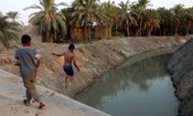 آب به نخلستان های شادگان رسید/ تصاویر
