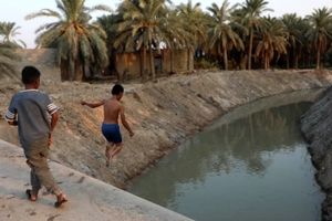 آب به نخلستان های شادگان رسید/ تصاویر