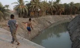 آب به نخلستان های شادگان رسید/ تصاویر