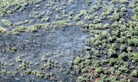 طبیعت چگونه هزینه فقر در زاگرس را می‌‌‌پردازد؟