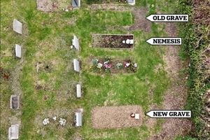 نبش قبر شوهر برای آرامش و احترام به او