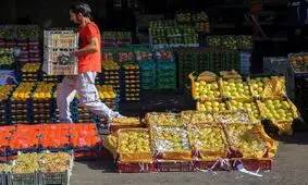 واژه‌نامه بازار میوه تابستانه؛ از گیلاس تکدانه تا انگور یاقوتی