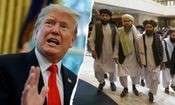 طالبان: اگر ترامپ مسلمان شود و برای گردش و تجارت به افغانستان بیاید، از او استقبال می‌کنیم/ ترامپ به بگرام نیاید اینجا غنایم ماست و پس نمی دهیم/ 5000 نیروی یکبار مصرف فدایی و استشهادی را در واشنگتن می توانیم جای دهیم/ ویدئو