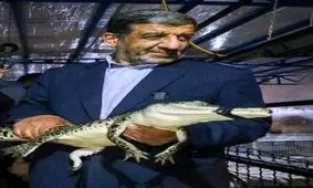 تمساح در دستان ضرغامی