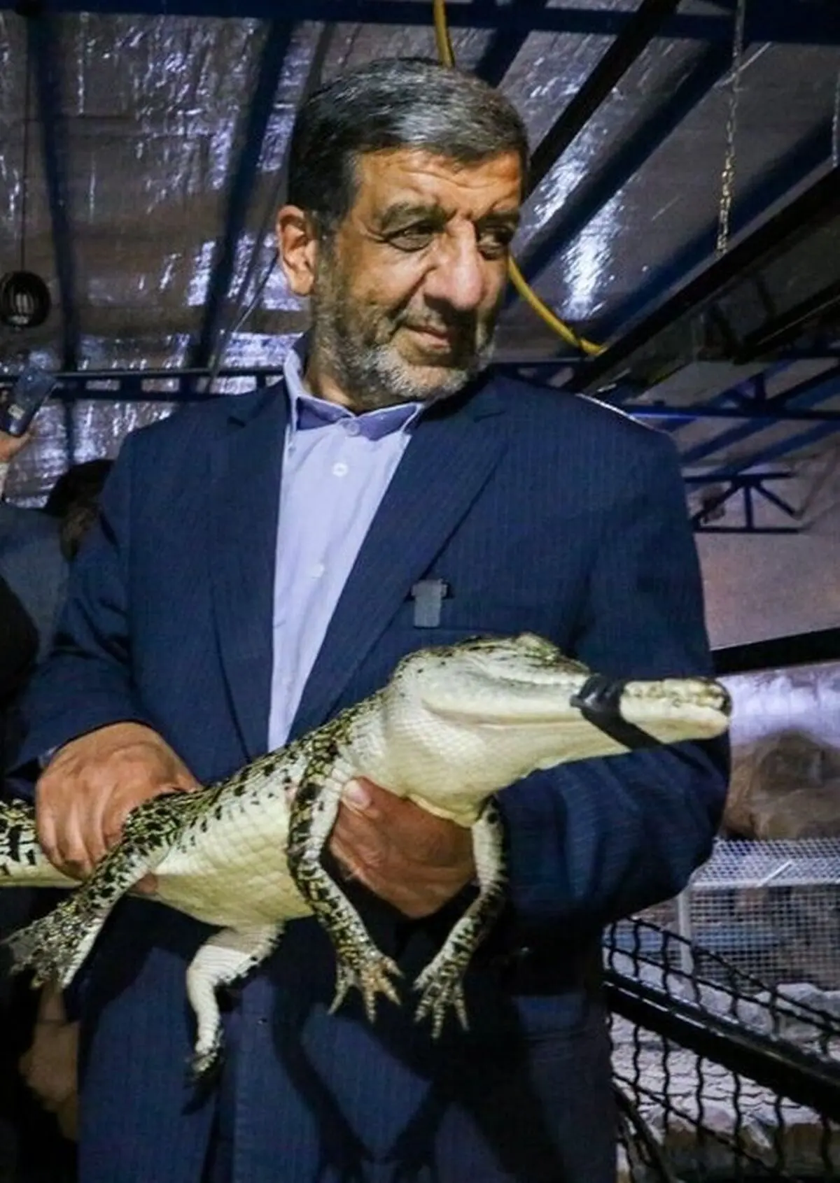 تمساح در دستان ضرغامی