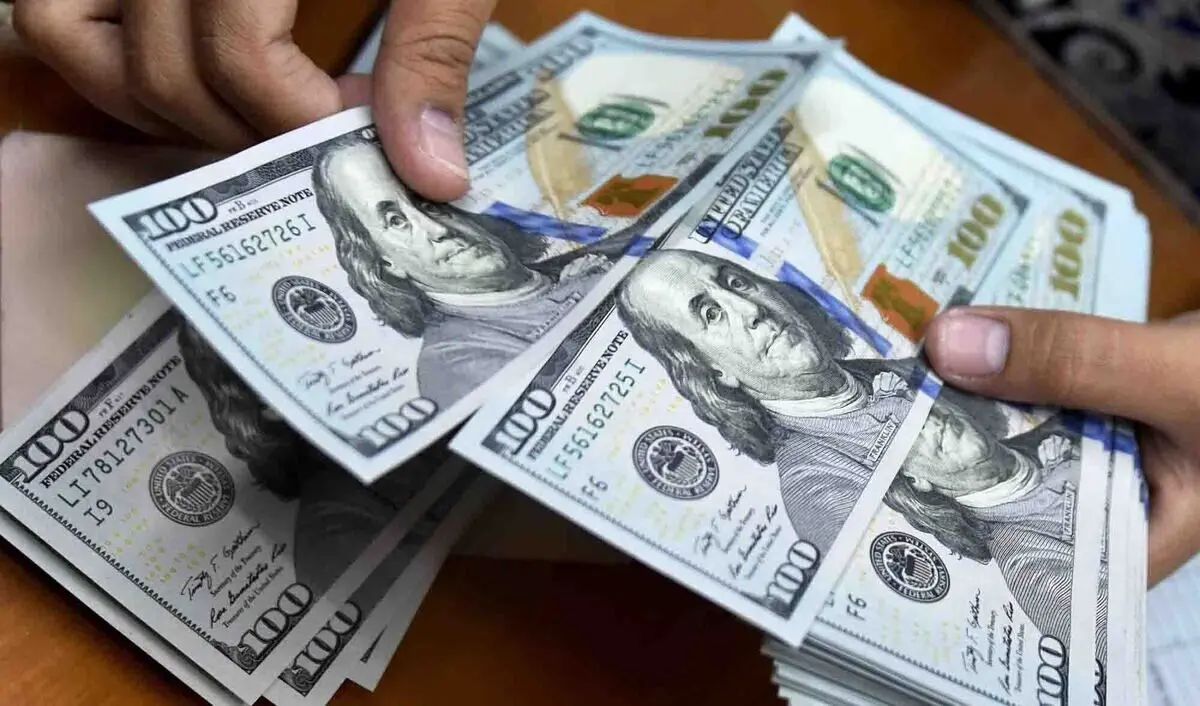 نرخ دلار به ۷۰ هزار تومان نمی رسد/ دولت از افزایش نرخ دلار منتفع می‌شود