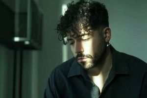 واکنش متفاوت شروین حاجی پور درباره ایران