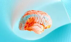 کشف آنچه درد را به رنج پایدار عاطفی تبدیل می‌کند

