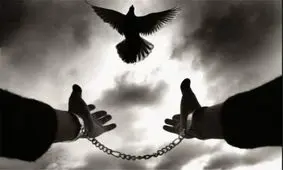 رهایی یک محکوم به قصاص پس از ۲۰ سال از وقوع قتل در بوشهر