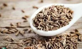 این داروی گیاهی خواص ضد سرطان دارد