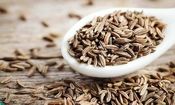 این داروی گیاهی خواص ضد سرطان دارد