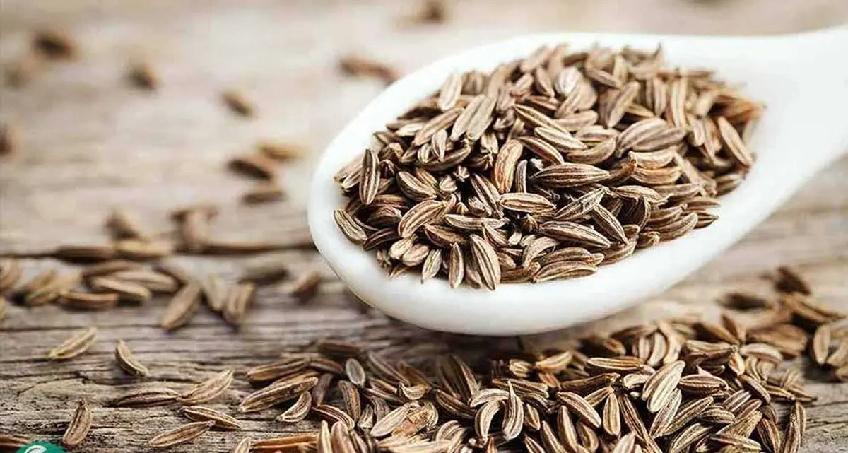 این داروی گیاهی خواص ضد سرطان دارد