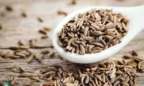این داروی گیاهی خواص ضد سرطان دارد