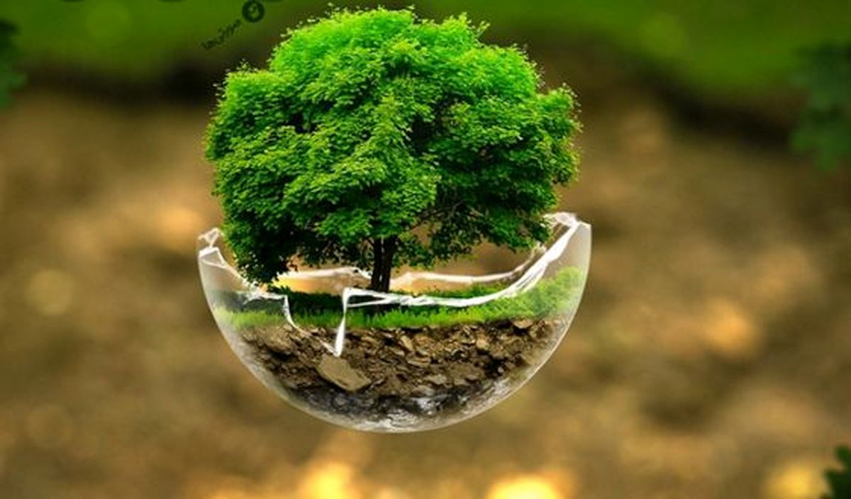 سیزده بدر؛ روز تخریب طبیعت!/ ویدئو