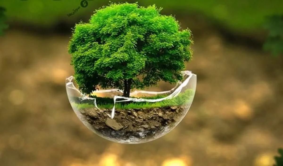 سیزده بدر؛ روز تخریب طبیعت!/ ویدئو