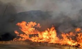  آتش‌سوزی گسترده در سیسیل ایتالیا/ ویدئو
